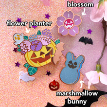 Load image into Gallery viewer, SEASONAL HALLOWEEN B-Grade Pins